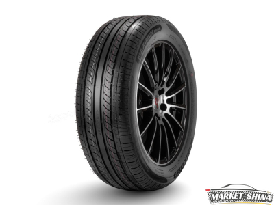 Double Star DH05 205/55 R16 91V
