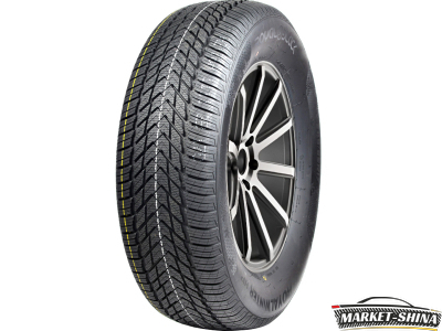 Royal Black Royal Winter HP 195/65 R15 95T