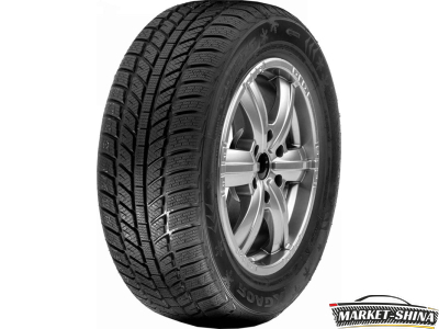Roadx RXFROST WH01 195/60 R15 88H