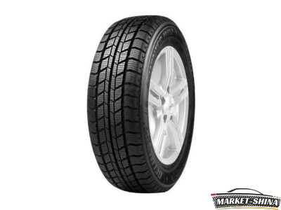 Delinte Winter WD2 225/70 R15 112/110S