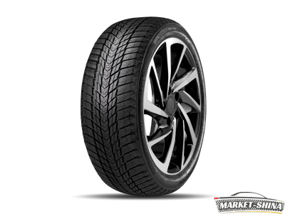 Roadstone Winguard Ice Plus 245/45 R17 99T